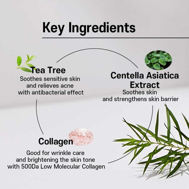 SUNGBOONEDITOR Deep Collagen CICA Tea Tree Calming Overnight Mask 37g x 4 Sheets (Green)